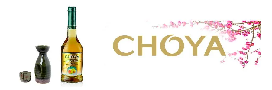 Choya Original Ume Wine (Karaffe warm) 0,1l