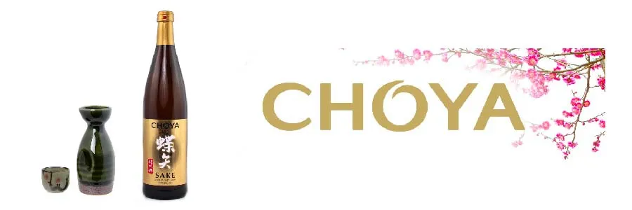 Choya Sake (Karaffe warm) 0,1l