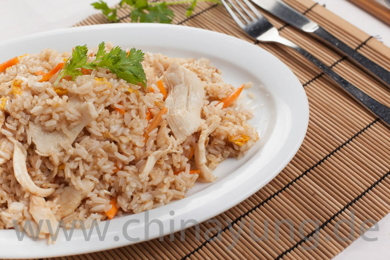 Chao Fan mit Hühnerfleisch